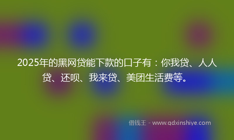 2025年的黑网贷能下款的口子有：你我贷、人人贷、还呗、我来贷、美团生活费等。