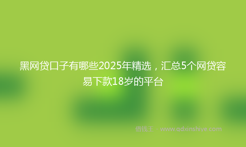 黑网贷口子有哪些2025年精选，汇总5个网贷容易下款18岁的平台