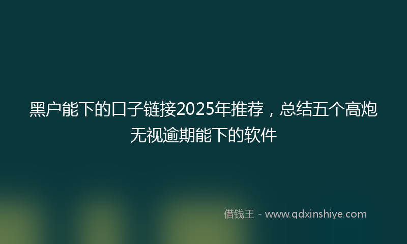 黑户能下的口子链接2025年推荐，总结五个高炮无视逾期能下的软件