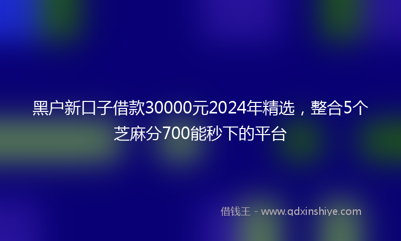 黑户新口子借款30000元2024年精选，整合5个芝麻分700能秒下的平台