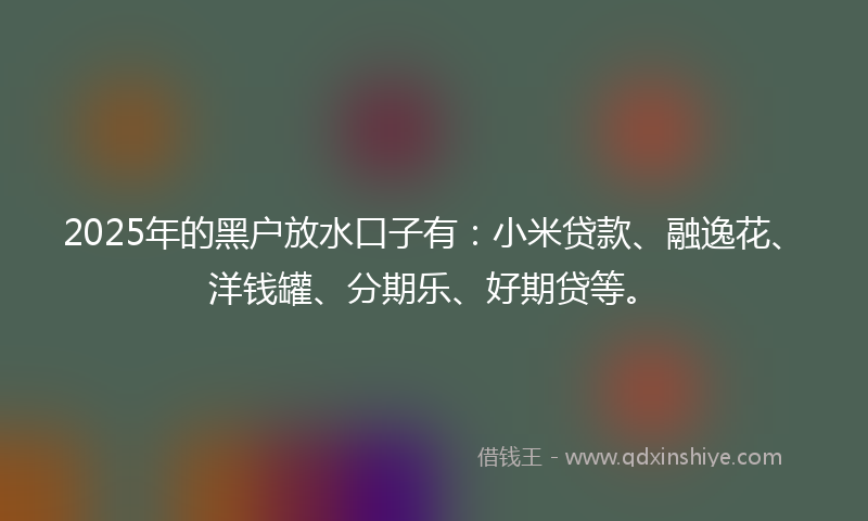 2025年的黑户放水口子有：小米贷款、融逸花、洋钱罐、分期乐、好期贷等。