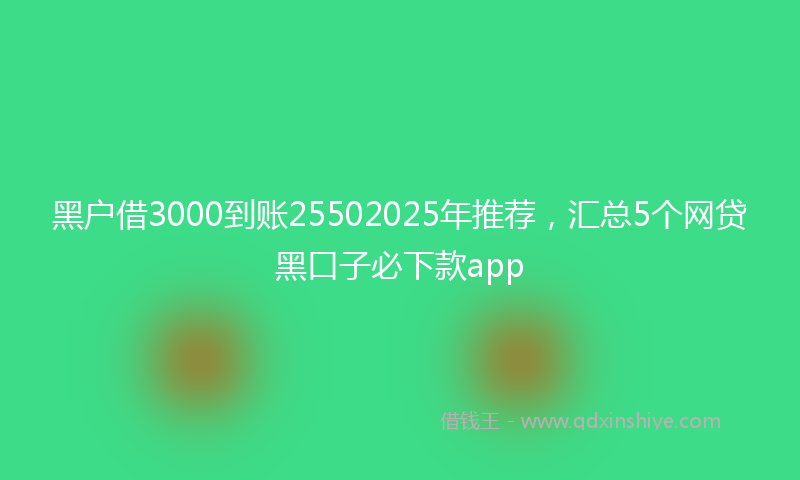 黑户借3000到账25502025年推荐，汇总5个网贷黑口子必下款app