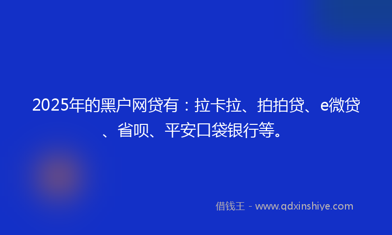 2025年的黑户网贷有：拉卡拉、拍拍贷、e微贷、省呗、平安口袋银行等。