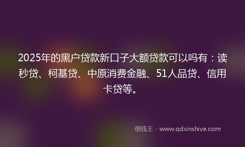 2025年的黑户贷款新口子大额贷款可以吗有：读秒贷、柯基贷、中原消费金融、51人品贷、信用卡贷等。