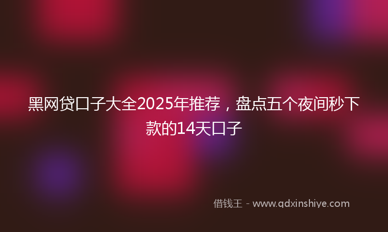黑网贷口子大全2025年推荐，盘点五个夜间秒下款的14天口子