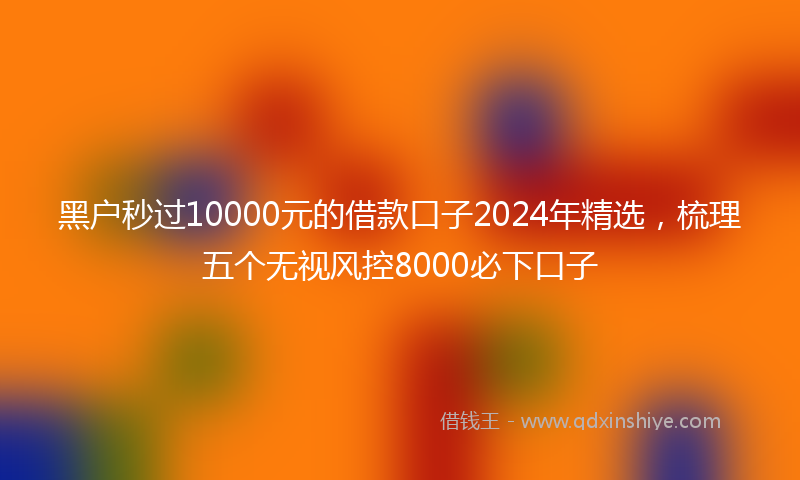 黑户秒过10000元的借款口子2024年精选，梳理五个无视风控8000必下口子