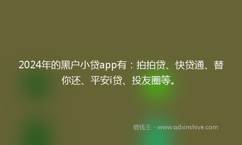 2024年的黑户小贷app有：拍拍贷、快贷通、替你还、平安i贷、投友圈等。