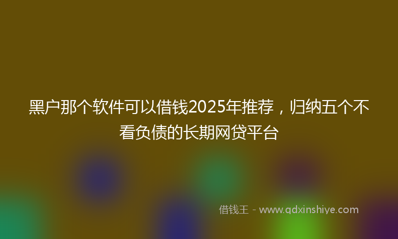 黑户那个软件可以借钱2025年推荐，归纳五个不看负债的长期网贷平台