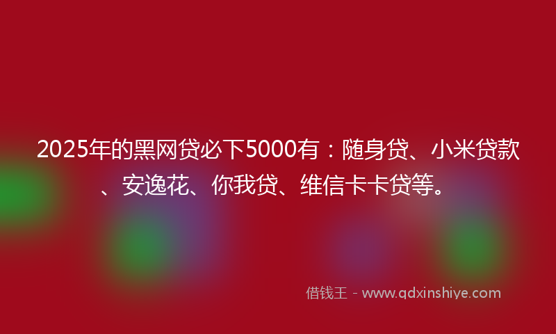 2025年的黑网贷必下5000有：随身贷、小米贷款、安逸花、你我贷、维信卡卡贷等。