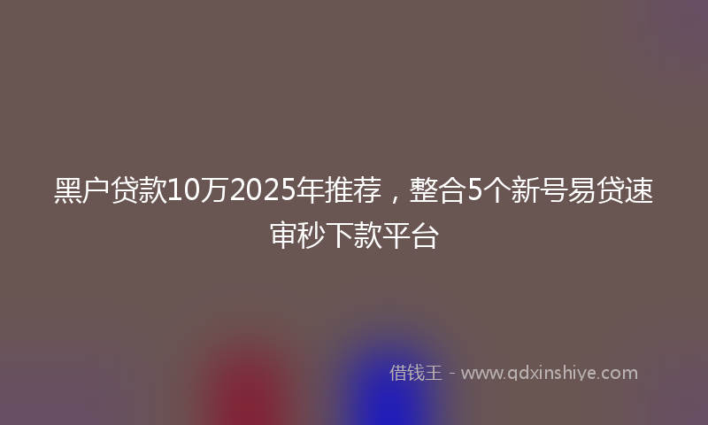 黑户贷款10万2025年推荐，整合5个新号易贷速审秒下款平台