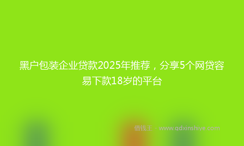 黑户包装企业贷款2025年推荐，分享5个网贷容易下款18岁的平台