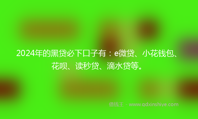 2024年的黑贷必下口子有：e微贷、小花钱包、花呗、读秒贷、滴水贷等。