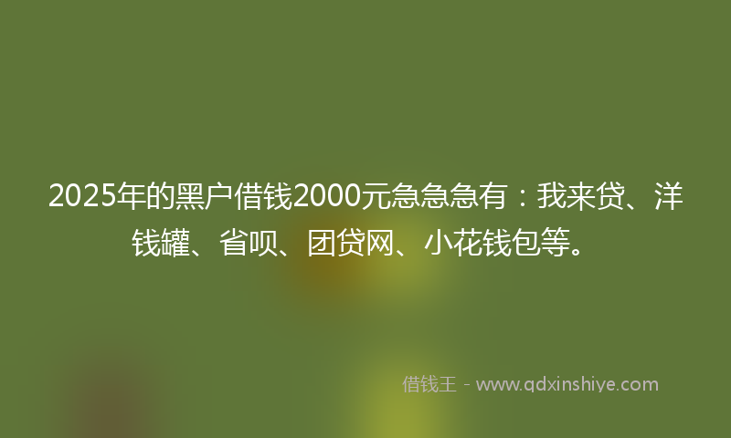 2025年的黑户借钱2000元急急急有：我来贷、洋钱罐、省呗、团贷网、小花钱包等。