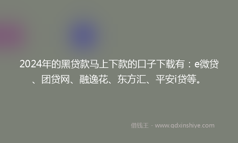 2024年的黑贷款马上下款的口子下载有：e微贷、团贷网、融逸花、东方汇、平安i贷等。