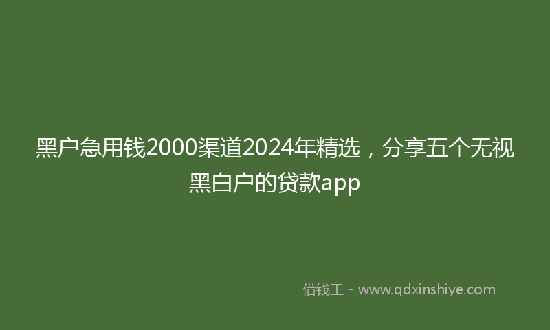 黑户急用钱2000渠道2024年精选，分享五个无视黑白户的贷款app