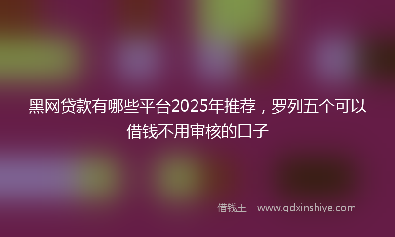 黑网贷款有哪些平台2025年推荐，罗列五个可以借钱不用审核的口子