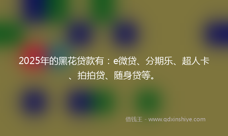 2025年的黑花贷款有：e微贷、分期乐、超人卡、拍拍贷、随身贷等。