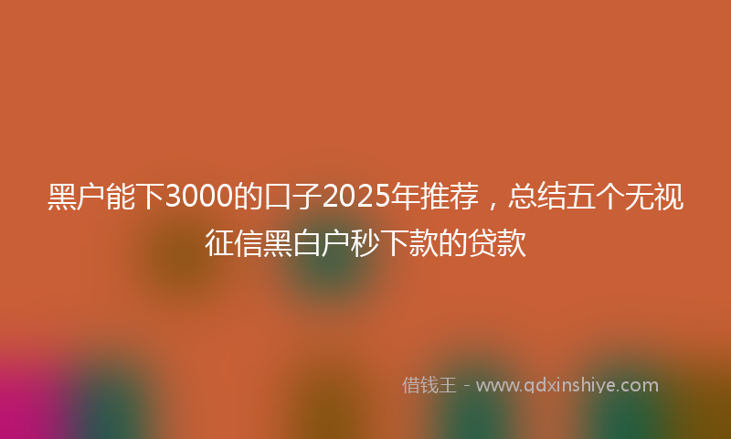 黑户能下3000的口子2025年推荐，总结五个无视征信黑白户秒下款的贷款