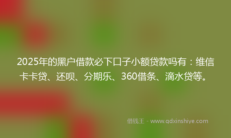2025年的黑户借款必下口子小额贷款吗有：维信卡卡贷、还呗、分期乐、360借条、滴水贷等。