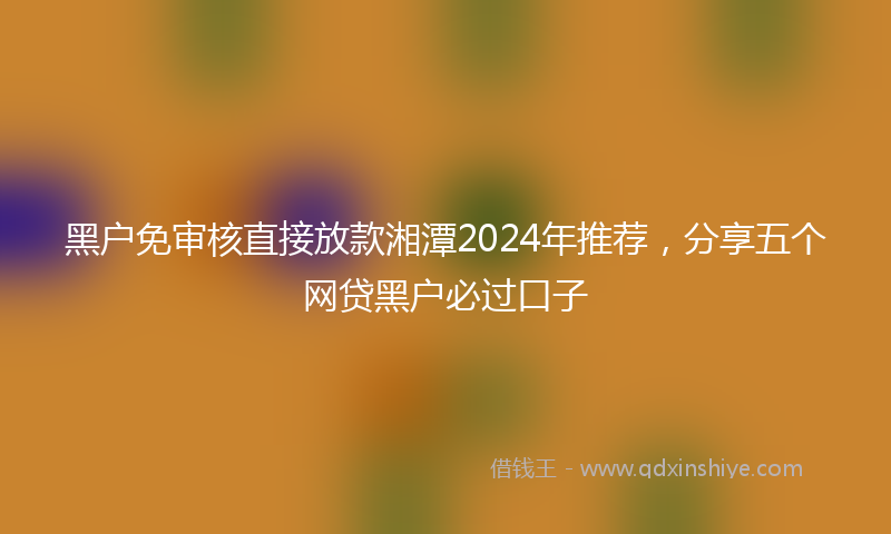 黑户免审核直接放款湘潭2024年推荐，分享五个网贷黑户必过口子