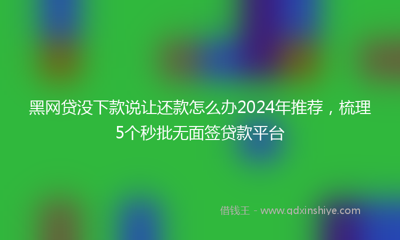 黑网贷没下款说让还款怎么办2024年推荐，梳理5个秒批无面签贷款平台