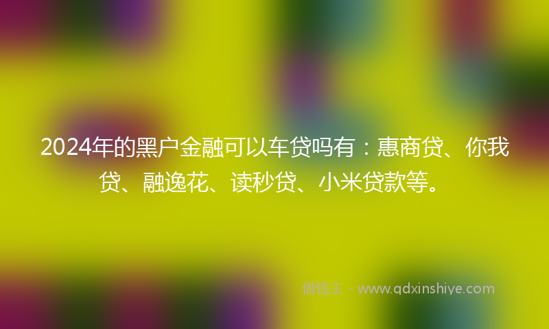2024年的黑户金融可以车贷吗有：惠商贷、你我贷、融逸花、读秒贷、小米贷款等。