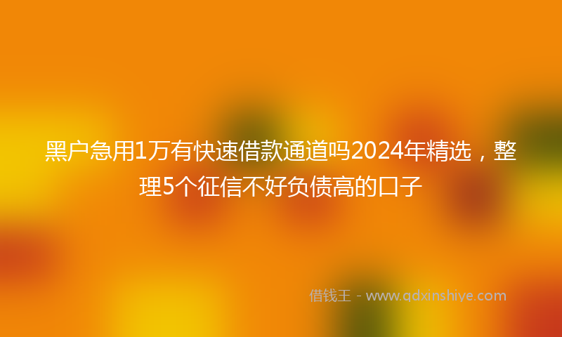 黑户急用1万有快速借款通道吗2024年精选，整理5个征信不好负债高的口子