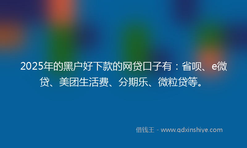 2025年的黑户好下款的网贷口子有：省呗、e微贷、美团生活费、分期乐、微粒贷等。