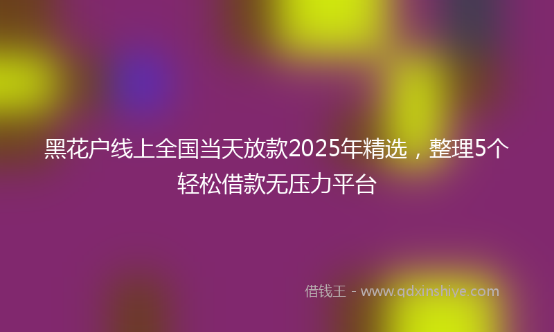黑花户线上全国当天放款2025年精选，整理5个轻松借款无压力平台