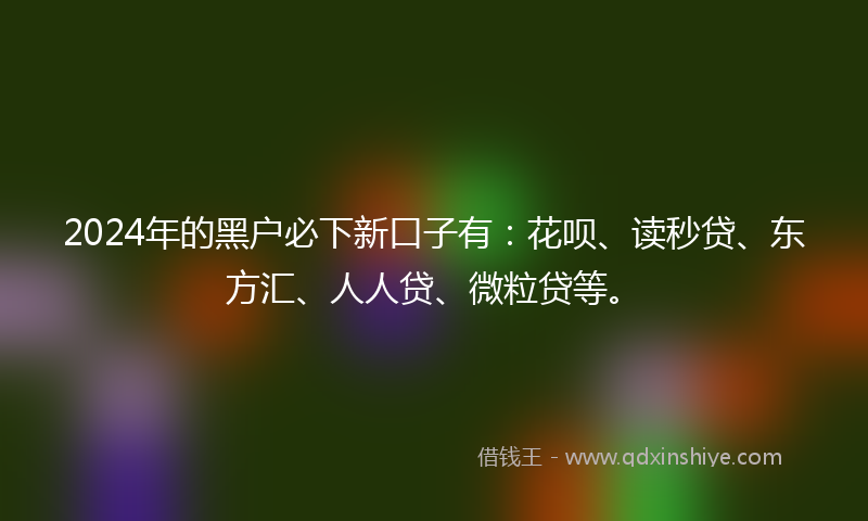 2024年的黑户必下新口子有：花呗、读秒贷、东方汇、人人贷、微粒贷等。