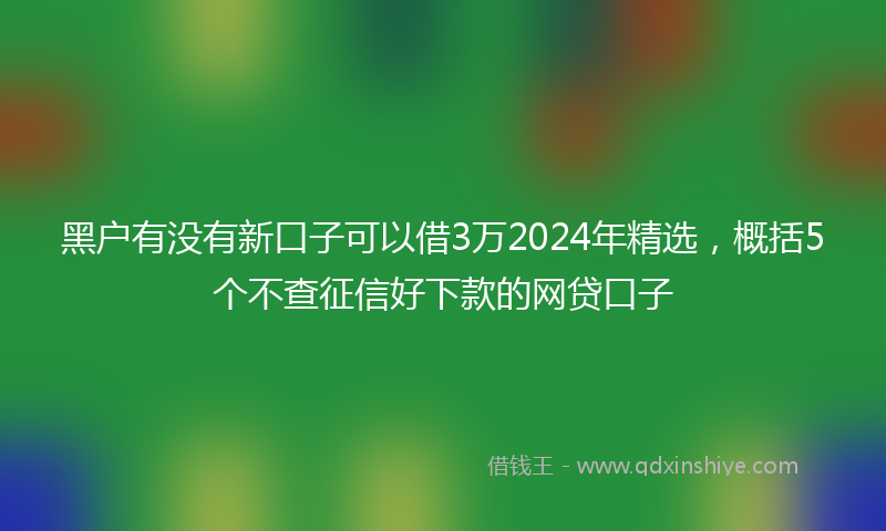 黑户有没有新口子可以借3万2024年精选，概括5个不查征信好下款的网贷口子