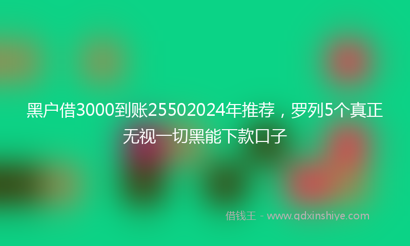 黑户借3000到账25502024年推荐，罗列5个真正无视一切黑能下款口子