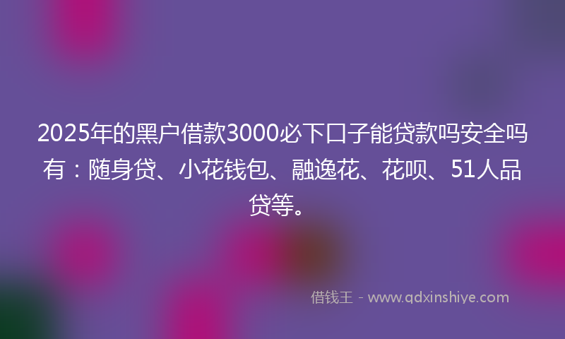 2025年的黑户借款3000必下口子能贷款吗安全吗有:随身贷、小花钱包、融逸花、花呗、51人品贷等。