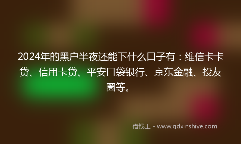 2024年的黑户半夜还能下什么口子有：维信卡卡贷、信用卡贷、平安口袋银行、京东金融、投友圈等。