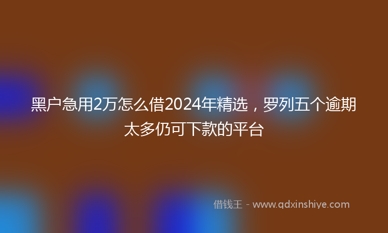 黑户急用2万怎么借2024年精选，罗列五个逾期太多仍可下款的平台