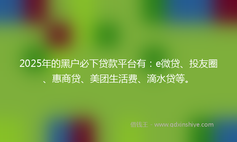 2025年的黑户必下贷款平台有：e微贷、投友圈、惠商贷、美团生活费、滴水贷等。