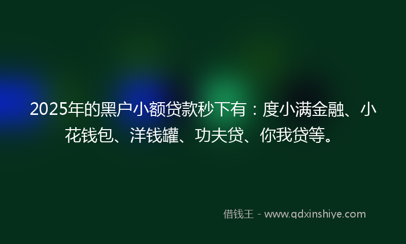 2025年的黑户小额贷款秒下有：度小满金融、小花钱包、洋钱罐、功夫贷、你我贷等。