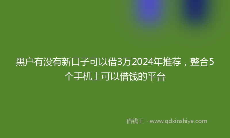 黑户有没有新口子可以借3万2024年推荐，整合5个手机上可以借钱的平台