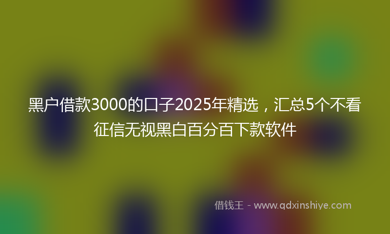 黑户借款3000的口子2025年精选，汇总5个不看征信无视黑白百分百下款软件