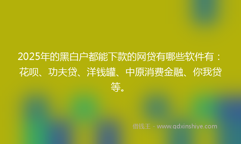 2025年的黑白户都能下款的网贷有哪些软件有：花呗、功夫贷、洋钱罐、中原消费金融、你我贷等。