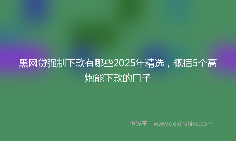 黑网贷强制下款有哪些2025年精选，概括5个高炮能下款的口子