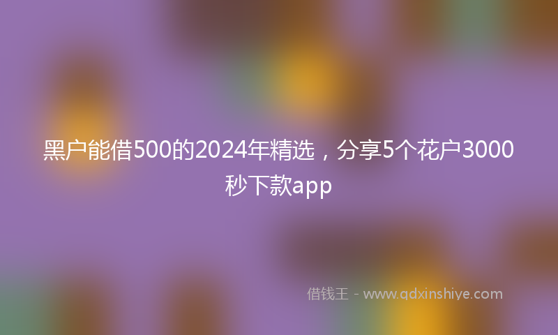 黑户能借500的2024年精选，分享5个花户3000秒下款app