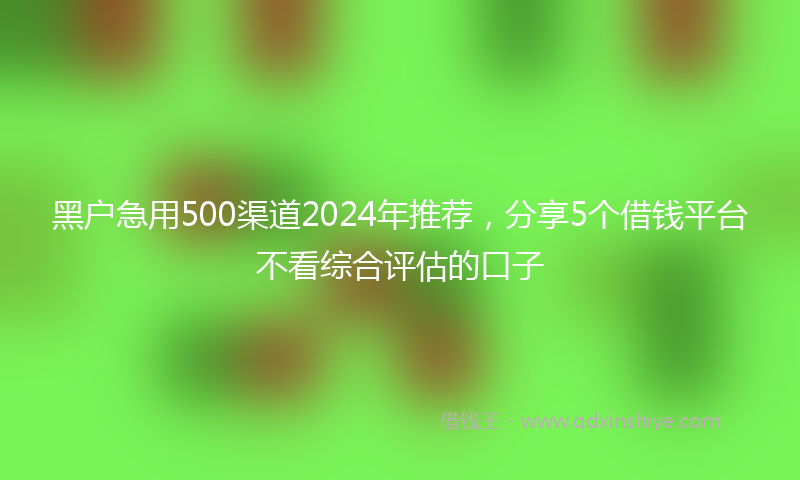 黑户急用500渠道2024年推荐，分享5个借钱平台不看综合评估的口子