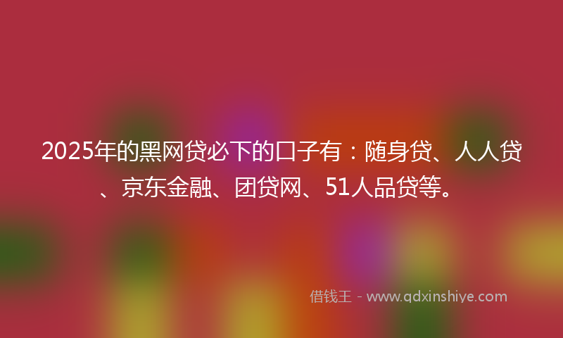 2025年的黑网贷必下的口子有：随身贷、人人贷、京东金融、团贷网、51人品贷等。