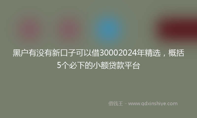黑户有没有新口子可以借30002024年精选，概括5个必下的小额贷款平台