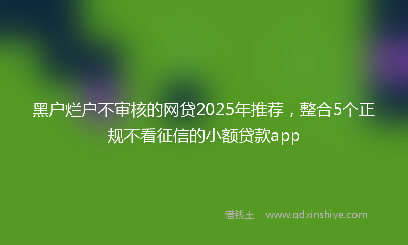 黑户烂户不审核的网贷2025年推荐，整合5个正规不看征信的小额贷款app