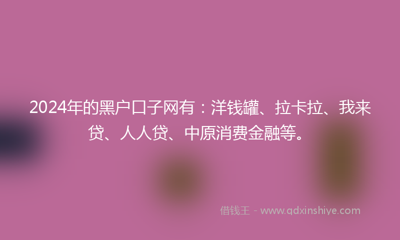 2024年的黑户口子网有：洋钱罐、拉卡拉、我来贷、人人贷、中原消费金融等。