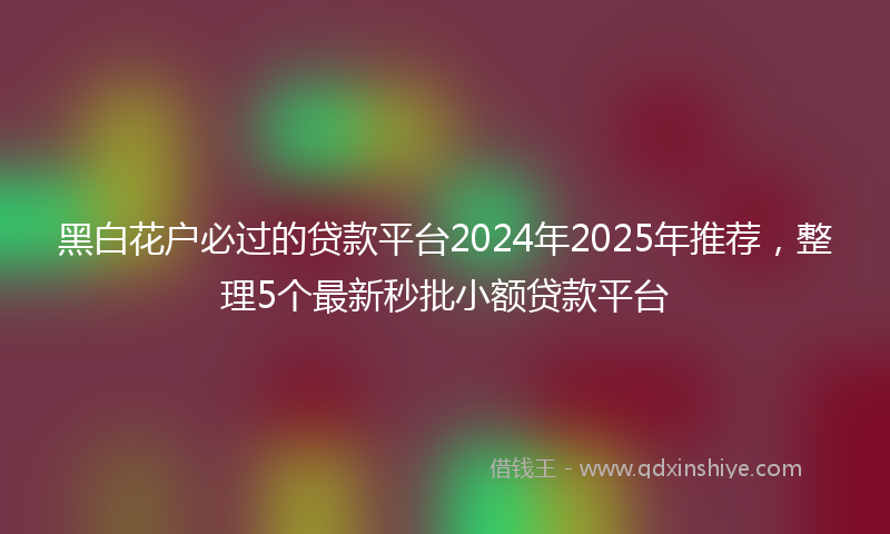 黑白花户必过的贷款平台2024年2025年推荐，整理5个最新秒批小额贷款平台