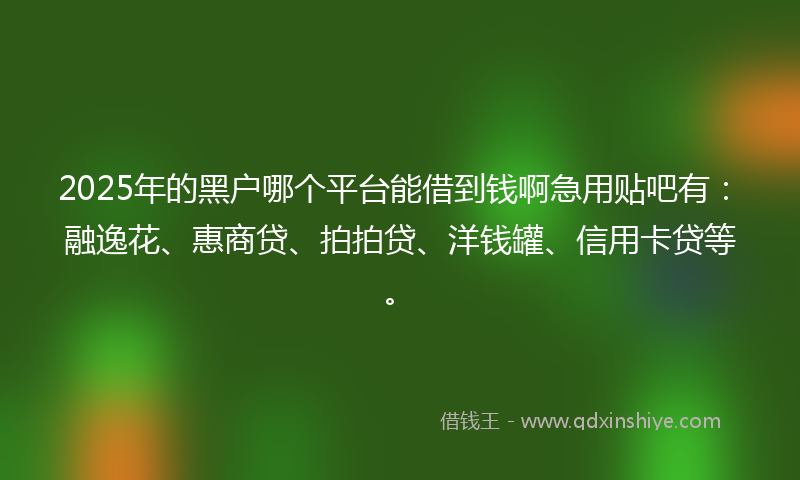 2025年的黑户哪个平台能借到钱啊急用贴吧有：融逸花、惠商贷、拍拍贷、洋钱罐、信用卡贷等。