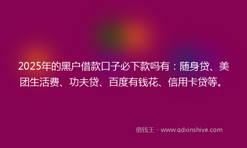 2025年的黑户借款口子必下款吗有：随身贷、美团生活费、功夫贷、百度有钱花、信用卡贷等。